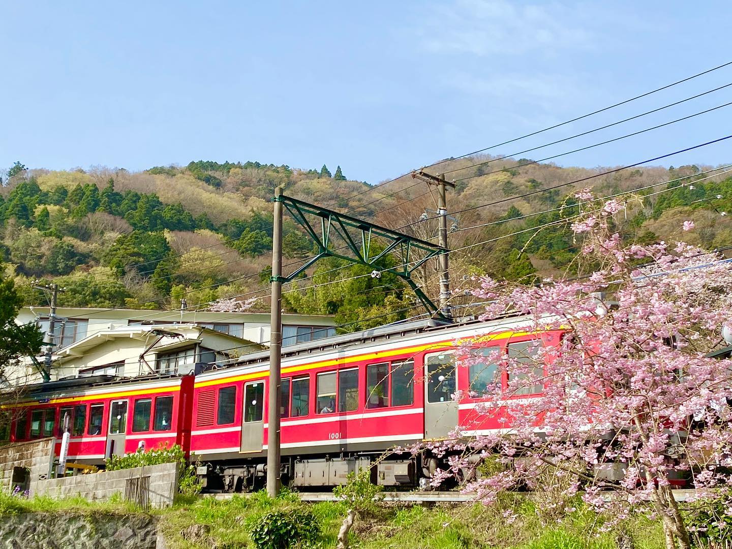 みなさん、こんにちは！旅館 箱根上の湯のインスタグラムを見てくださりありがとうございます！今日で３月も終わりですね。本日も春を感じる一枚をお届けいたしますっ！(о´∀`о)・・・箱根上の湯では、現在スタッフさんを募集しております。詳細は以下をご確認ください。お電話お待ちしております(^ ^)・・・【旅館スタッフ募集のお知らせ】旅館 箱根上の湯（はこねかみのゆ）では、現在スタッフを募集しております。○雇用形態：契約社員○業務内容： チェックイン・チェックアウト対応、ルーム清掃、料理補助など旅館業全般○給与：月給15万円（交通費支給）○勤務時間：週4日（金〜月の４日間）7:00〜21:30のうち8時間○条件：女性のみ。経験者歓迎。○勤務場所：箱根町大平台535-1旅館 箱根上の湯（はこねかみのゆ）担当・若松（ワカマツ）0460-82-6681・・・当館では、「断食プラン」のサービスもご提供しておりますっ。「断食」と聞くと、「ダイエット」のイメージがお強い方もいらっしゃるかもしれませんが、胃腸をきれいにしたい、心と体をリセットしたい、断食ってどういうものか体験してみたい！など、お客様の目的はさまざまです(^ ^)水を一切使わない、女将特製の野菜ジュースを飲みつつ、岩盤浴に入りつつ、お散歩などしつつ、、、箱根の自然の中で、心身をリセットしていただければと思います(o^^o)（女将の健康講話もありマス☆）断食プラン、みなさまもいかがでしょうか？？？・・・箱根上の湯は現在感染対策に努めつつ営業しております。全部屋数５部屋の小規模旅館ですので、どうぞ安心してお越しください。ご予約はプロフィールのURLからお待ちしております(^ ^)#箱根旅行 #箱根 #箱根温泉 #箱根上の湯  #源泉かけ流し #岩盤浴 #デトックス 効果もあります。#女子旅 #心と体の健康 #健康的な食事 #女将 の#手料理 は#体に優しい です。#箱根登山鉄道 #箱根登山電車 #箱根登山バス #大平台 から徒歩５分です。#撮り鉄 さん必見！#スイッチバック の中にある旅館です。 #運転再開  #箱根駅伝 #ヘアピンカーブ の近く #線路 #箱根湯本 から2駅です♪#感染対策 をしつつ営業しております。#hakone  #hakoneproject #桜 #スタッフ募集中 #スタッフ募集