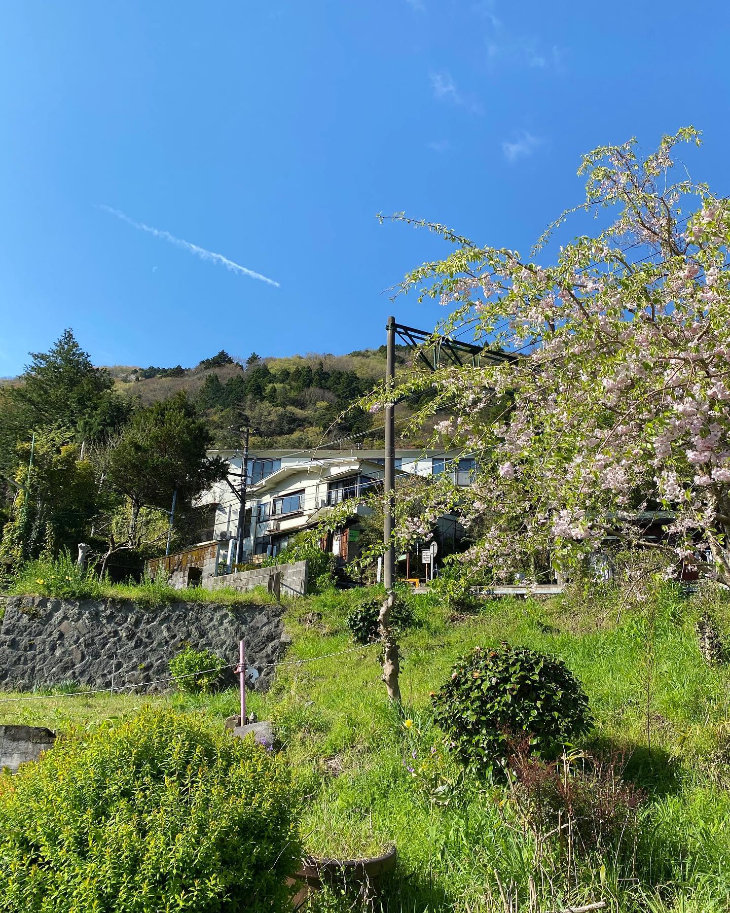 みなさん、こんにちは！旅館 箱根上の湯のインスタグラムを見てくださりありがとうございます！冷たい風が吹いていますが、本日も快晴です╰(*´︶`*)╯♡・・・箱根上の湯では、現在スタッフさんを募集しております。詳細は以下をご確認ください。お電話お待ちしております(^ ^)・・・【旅館スタッフ募集のお知らせ】旅館 箱根上の湯（はこねかみのゆ）では、現在スタッフを募集しております。○雇用形態：契約社員○業務内容： チェックイン・チェックアウト対応、ルーム清掃、料理補助など旅館業全般○給与：月給15万円（交通費支給）○勤務時間：週4日（金〜月の４日間）7:00〜21:30のうち8時間○条件：女性のみ。経験者歓迎。○勤務場所：箱根町大平台535-1旅館 箱根上の湯（はこねかみのゆ）担当・若松（ワカマツ）0460-82-6681・・・当館では、「断食プラン」のサービスもご提供しておりますっ。「断食」と聞くと、「ダイエット」のイメージがお強い方もいらっしゃるかもしれませんが、胃腸をきれいにしたい、心と体をリセットしたい、断食ってどういうものか体験してみたい！など、お客様の目的はさまざまです(^ ^)水を一切使わない、女将特製の野菜ジュースを飲みつつ、岩盤浴に入りつつ、お散歩などしつつ、、、箱根の自然の中で、心身をリセットしていただければと思います(o^^o)（女将の健康講話もありマス☆）断食プラン、みなさまもいかがでしょうか？？？・・・箱根上の湯は現在感染対策に努めつつ営業しております。全部屋数５部屋の小規模旅館ですので、どうぞ安心してお越しください。ご予約はプロフィールのURLからお待ちしております(^ ^)#箱根旅行 #箱根 #箱根温泉 #箱根上の湯  #源泉かけ流し #岩盤浴 #デトックス 効果もあります。#女子旅 #心と体の健康 #健康的な食事 #女将 の#手料理 は#体に優しい です。#箱根登山鉄道 #箱根登山電車 #箱根登山バス #大平台 から徒歩５分です。#撮り鉄 さん必見！#スイッチバック の中にある旅館です。 #運転再開  #箱根駅伝 #ヘアピンカーブ の近く #線路 #箱根湯本 から2駅です♪#感染対策 をしつつ営業しております。#hakone  #hakoneproject #快晴 #スタッフ募集中 #スタッフ募集