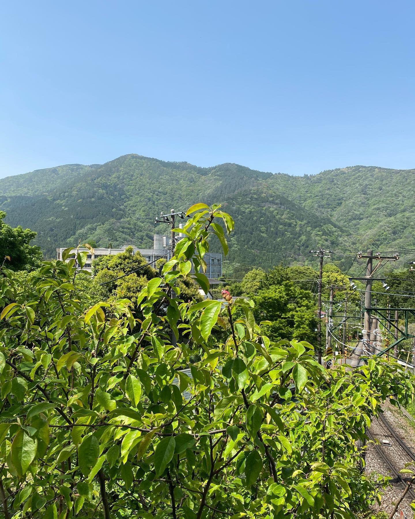 みなさん、こんばんは！旅館 箱根上の湯のインスタグラムを見てくださりありがとうございます。本日、ティールームからの眺め(^ ^)無加工でこの美しさ、、、っ！！！2枚目も、同じくティールームからの写真です♪今日はとても良い天気で、新緑もより一層美しく見えました(^ ^)・・・先日から工事がはじまりました‍♀️１階部分に、新たにカフェスペースができます！楽しみになさっていてくださいね♪ちなみに工事中も、旅館は基本通常通り営業しておりますので、みなさまのお越しをお待ちしております(^ ^)・・・箱根上の湯では、現在スタッフさんを募集しております。詳細は以下をご確認ください。お電話お待ちしております(^ ^)・・・【旅館スタッフ募集のお知らせ】旅館 箱根上の湯（はこねかみのゆ）では、現在スタッフを募集しております。○雇用形態：契約社員○業務内容： チェックイン・チェックアウト対応、ルーム清掃、料理補助など旅館業全般○給与：月給15万円（交通費支給）○勤務時間：週4日（金〜月の４日間）7:00〜21:30のうち8時間○条件：女性のみ。経験者歓迎。○勤務場所：箱根町大平台535-1旅館 箱根上の湯（はこねかみのゆ）担当・若松（ワカマツ）0460-82-6681・・・当館では、「断食プラン」のサービスもご提供しておりますっ。「断食」と聞くと、「ダイエット」のイメージがお強い方もいらっしゃるかもしれませんが、胃腸をきれいにしたい、心と体をリセットしたい、断食ってどういうものか体験してみたい！など、お客様の目的はさまざまです(^ ^)水を一切使わない、女将特製の野菜ジュースを飲みつつ、岩盤浴に入りつつ、お散歩などしつつ、、、箱根の自然の中で、心身をリセットしていただければと思います(o^^o)（女将の健康講話もありマス☆）断食プラン、みなさまもいかがでしょうか？？？・・・箱根上の湯は現在感染対策に努めつつ営業しております。全部屋数５部屋の小規模旅館ですので、どうぞ安心してお越しください。ご予約はプロフィールのURLからお待ちしております(^ ^)#箱根旅行 #箱根 #箱根温泉 #箱根上の湯  #源泉かけ流し #岩盤浴 #デトックス 効果もあります。#女子旅 #心と体の健康 #健康的な食事 #女将 の#手料理 は#体に優しい です。#箱根登山鉄道 #箱根登山電車 #箱根登山バス #大平台 から徒歩５分です。#撮り鉄 さん必見！#スイッチバック の中にある旅館です。 #運転再開  #箱根駅伝 #ヘアピンカーブ の近く #線路 #箱根湯本 から2駅です♪#感染対策 をしつつ営業しております。#hakone  #hakoneproject #新緑  #スタッフ募集中 #スタッフ募集